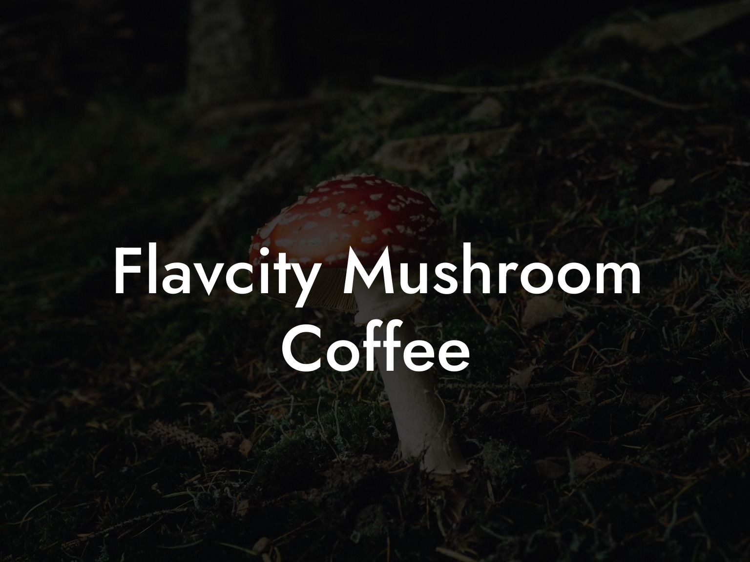 Flavcity Mushroom Coffee