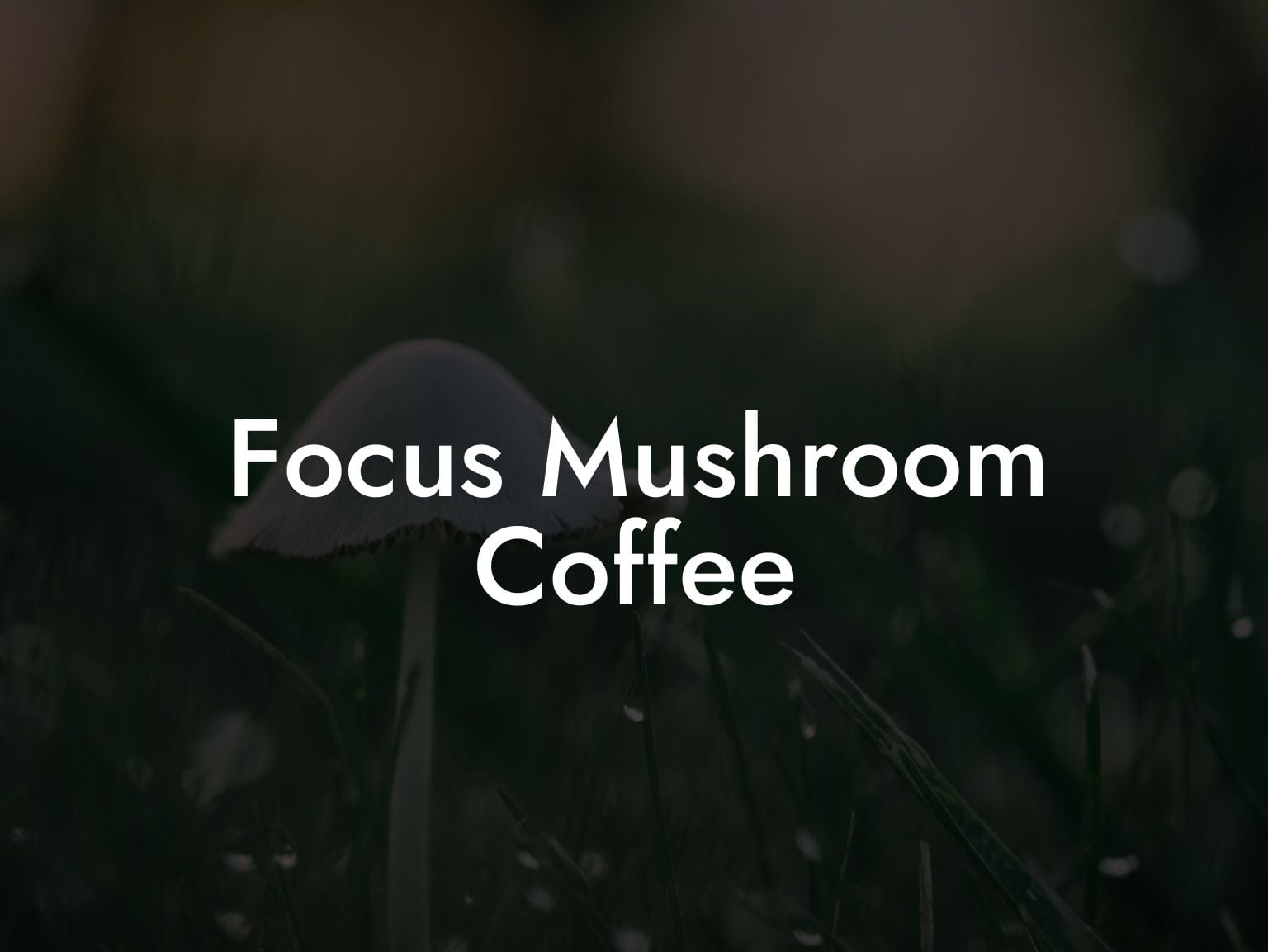 Focus Mushroom Coffee