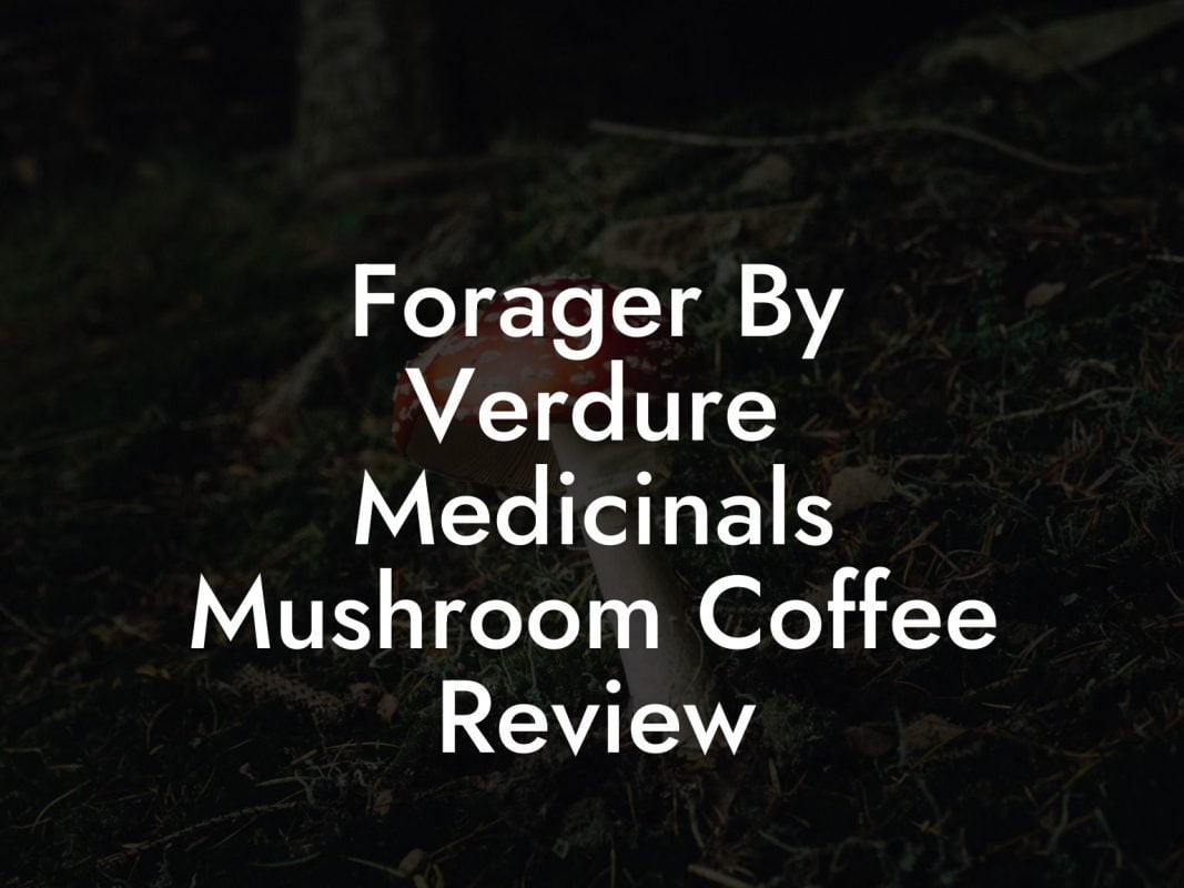 Forager By Verdure Medicinals Mushroom Coffee Review