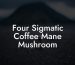 Four Sigmatic Coffee Mane Mushroom