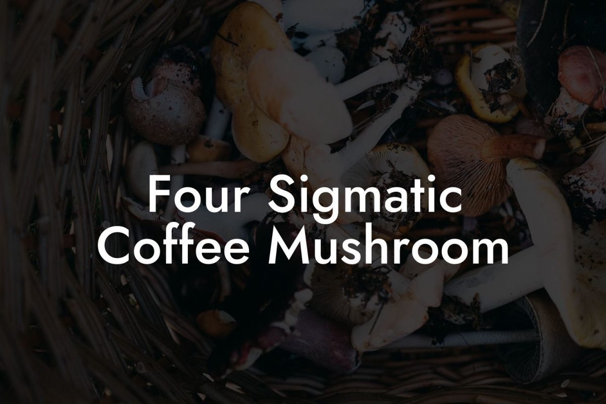 Four Sigmatic Coffee Mushroom
