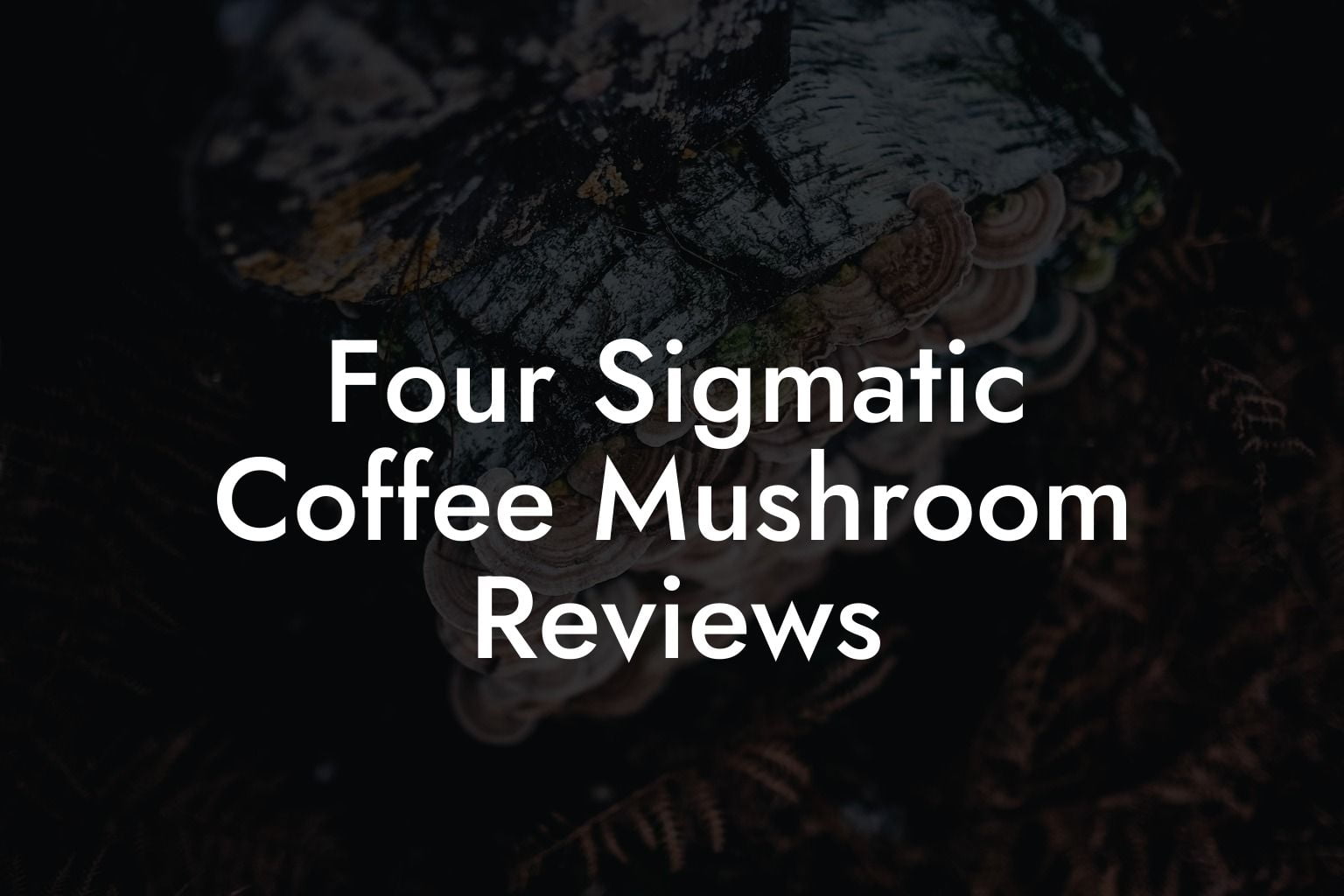 Four Sigmatic Coffee Mushroom Reviews