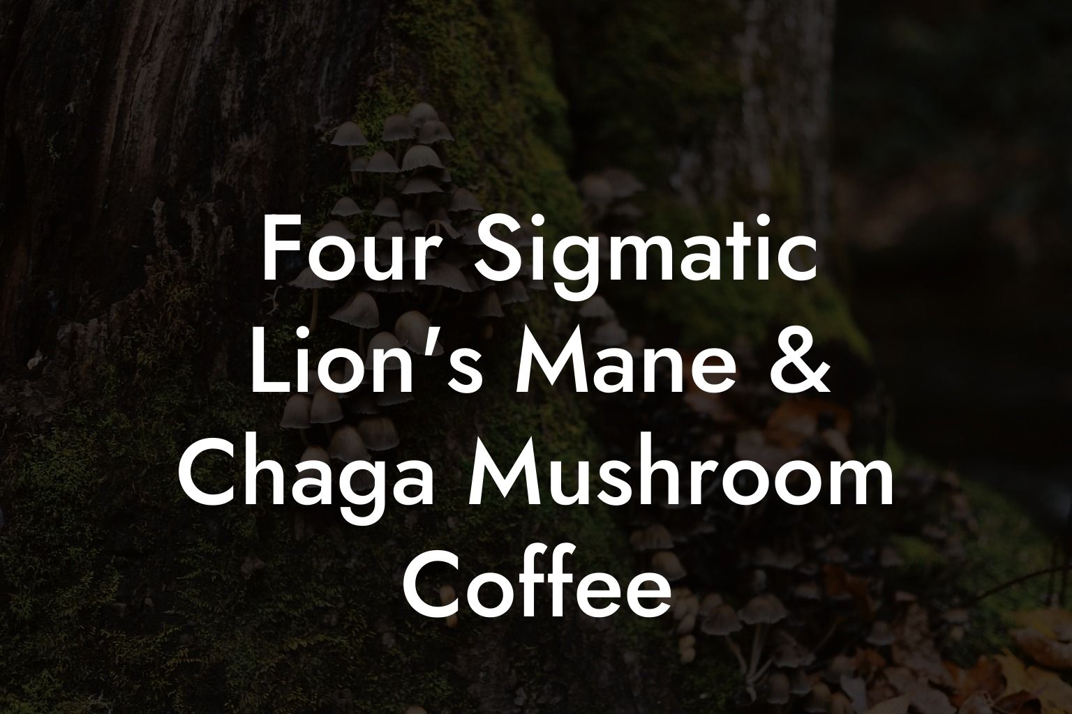 Four Sigmatic Lion's Mane & Chaga Mushroom Coffee