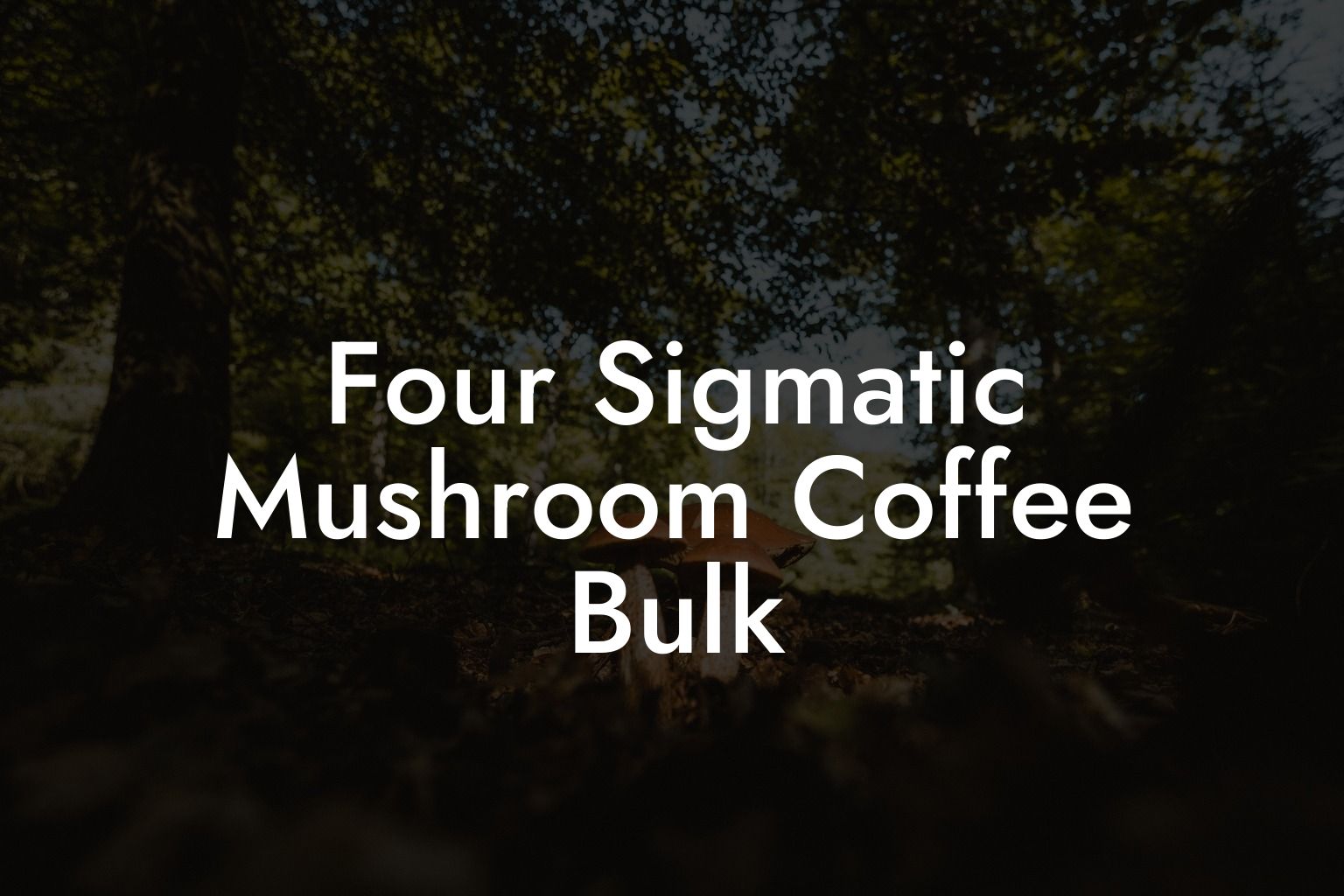 Four Sigmatic Mushroom Coffee Bulk