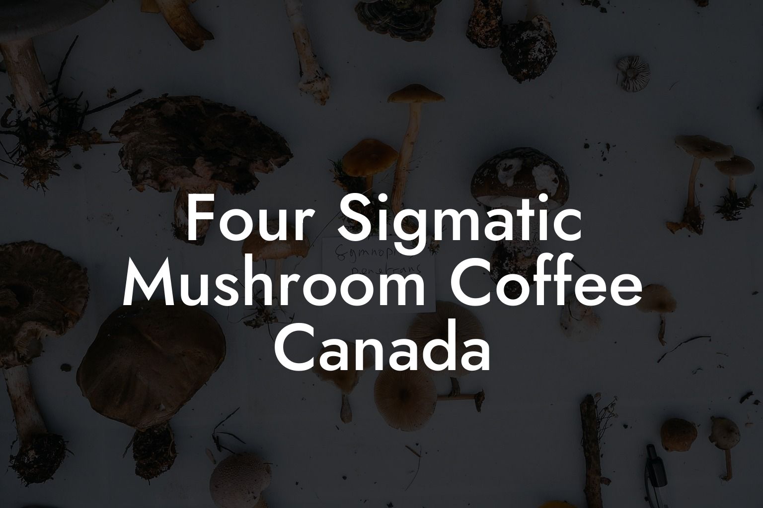 Four Sigmatic Mushroom Coffee Canada