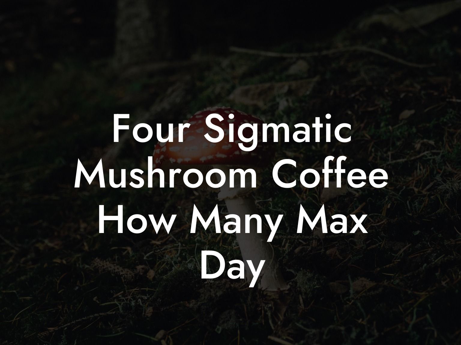 Four Sigmatic Mushroom Coffee How Many Max Day