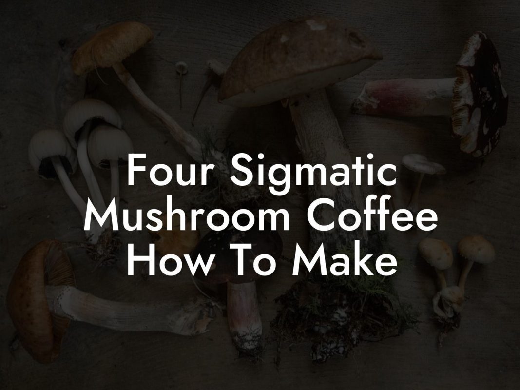 Four Sigmatic Mushroom Coffee How To Make