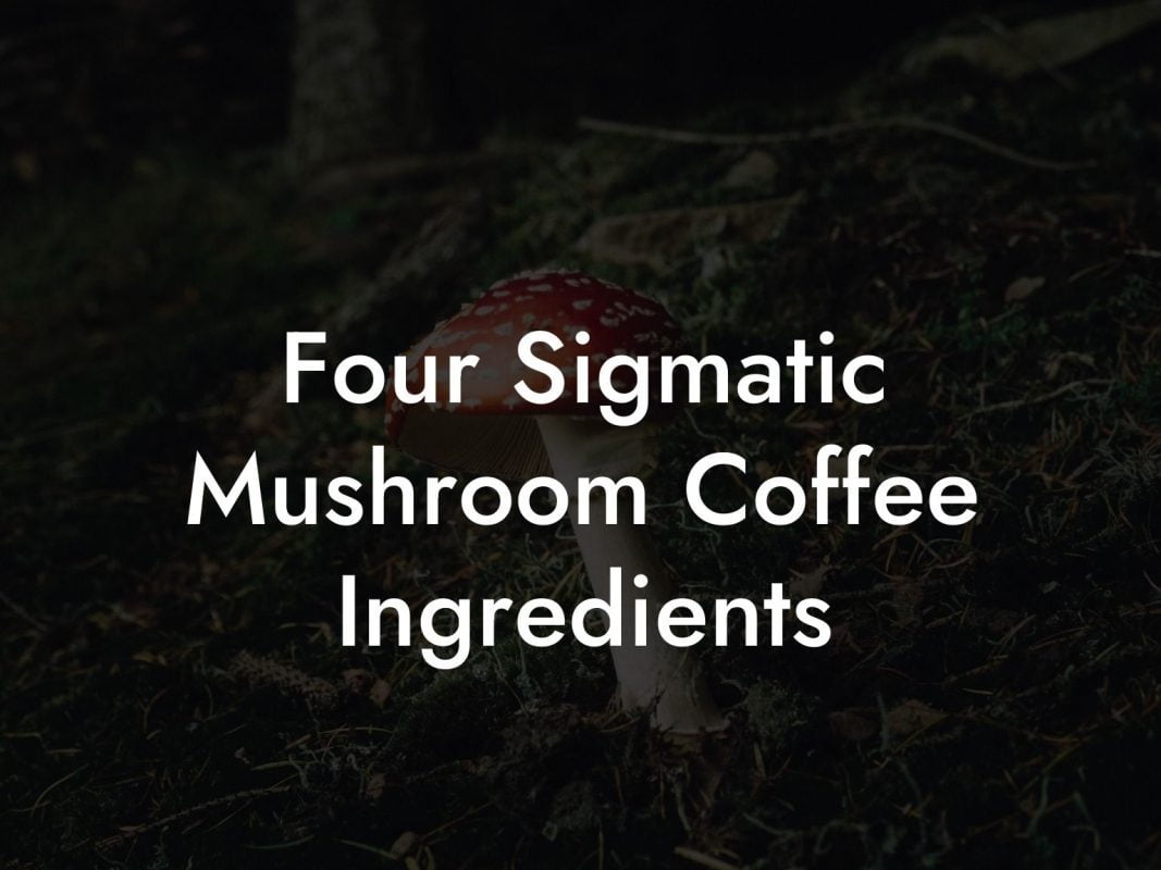 Four Sigmatic Mushroom Coffee Ingredients