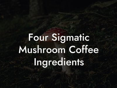 Four Sigmatic Mushroom Coffee Ingredients - Mr Mushroom