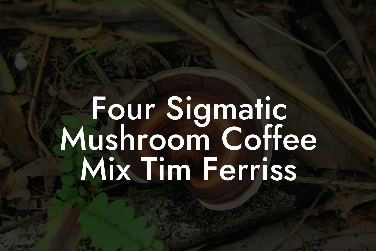 Four Sigmatic Mushroom Coffee Mix Tim Ferriss