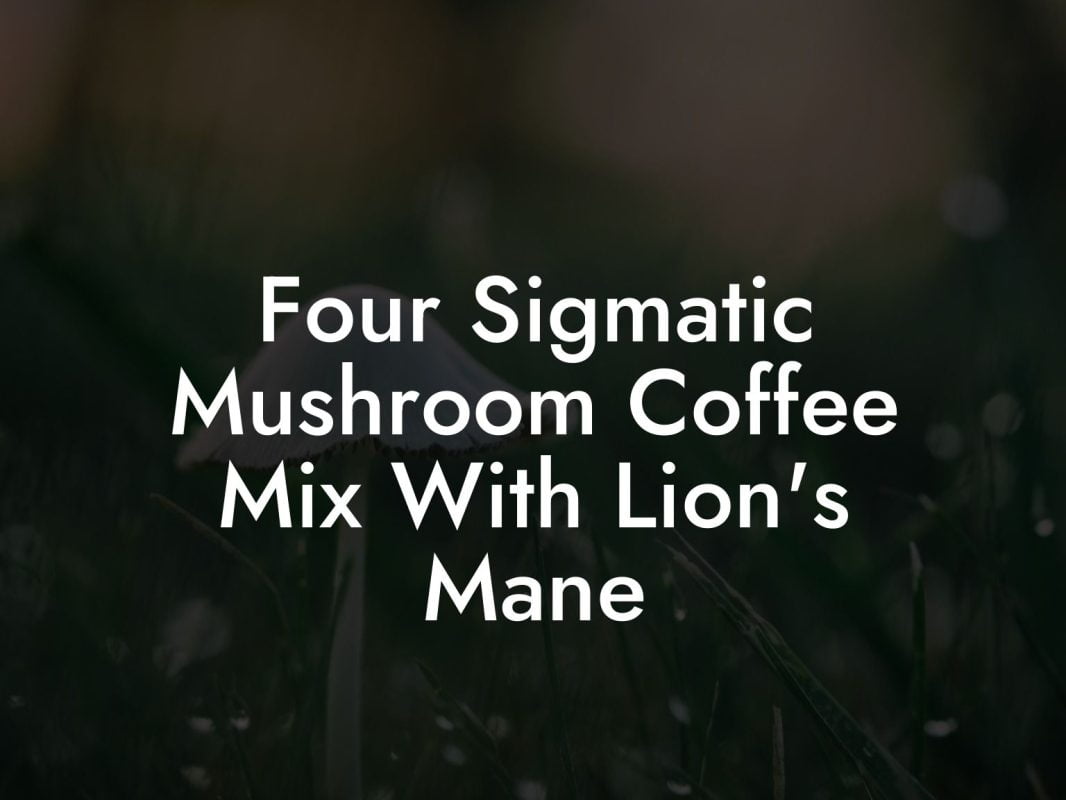Four Sigmatic Mushroom Coffee Mix With Lion's Mane