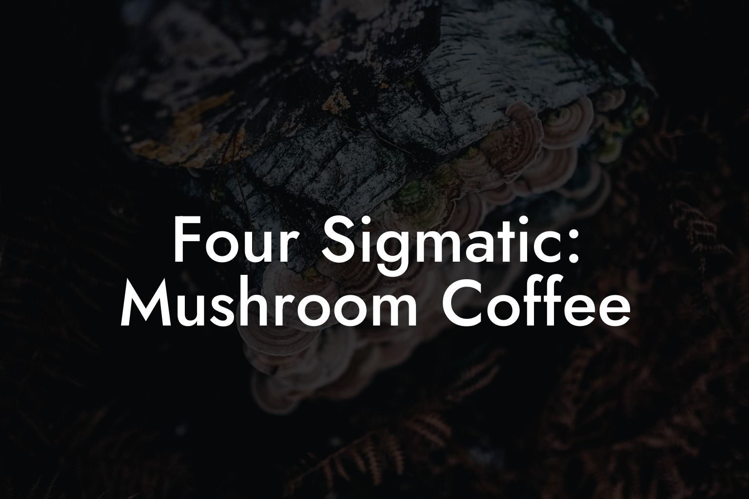 Four Sigmatic, Mushroom Coffee