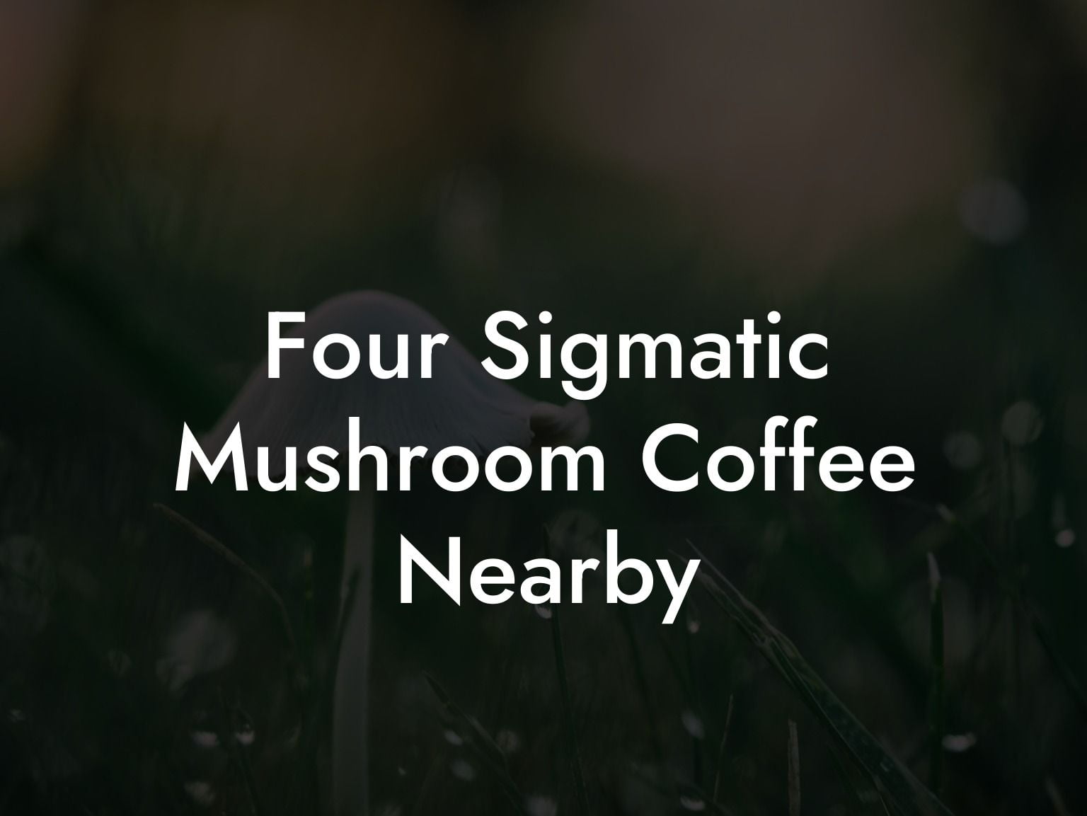 Four Sigmatic Mushroom Coffee Nearby