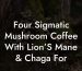 Four Sigmatic Mushroom Coffee With Lion’S Mane & Chaga For
