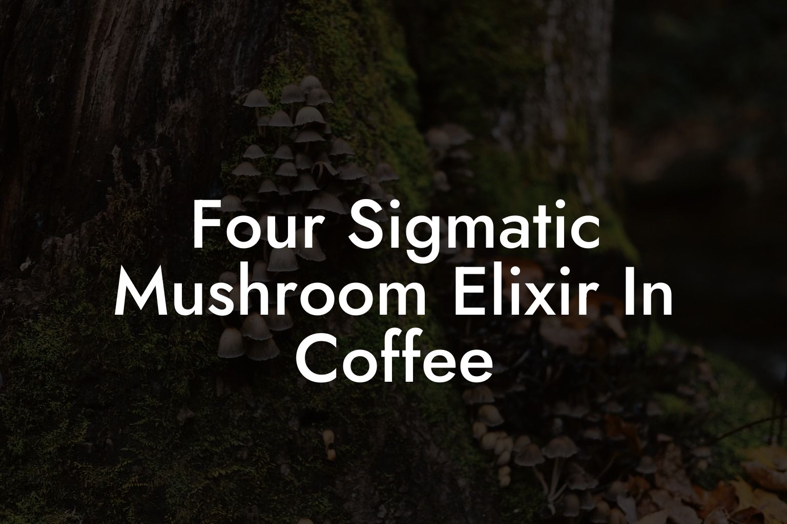 Four Sigmatic Mushroom Elixir In Coffee