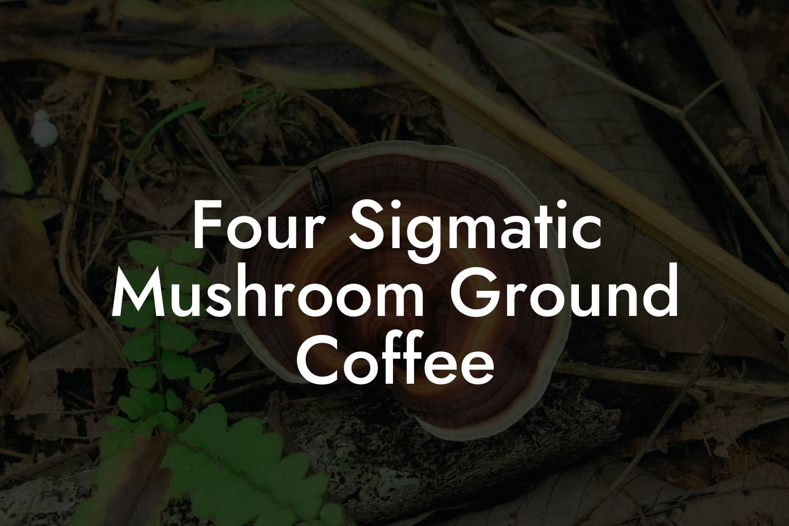 Four Sigmatic Mushroom Ground Coffee