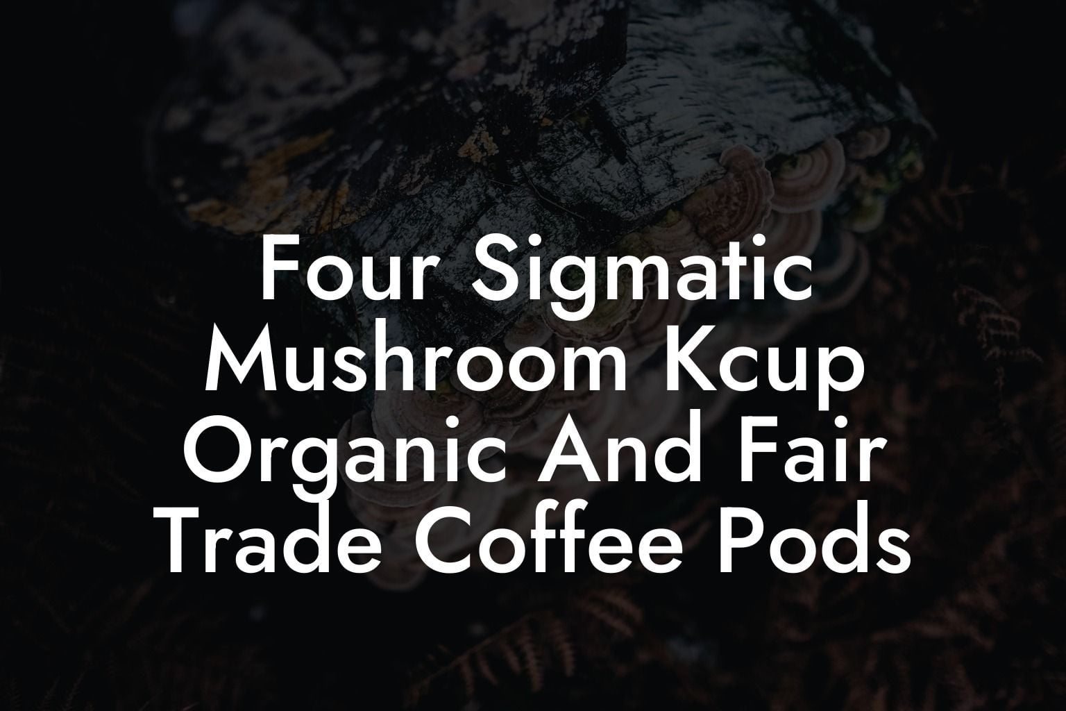 Four Sigmatic Mushroom Kcup Organic And Fair Trade Coffee Pods