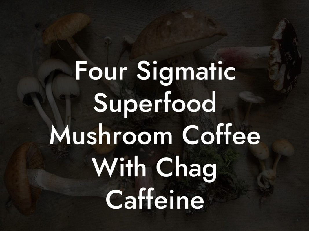 Four Sigmatic Superfood Mushroom Coffee With Chag Caffeine