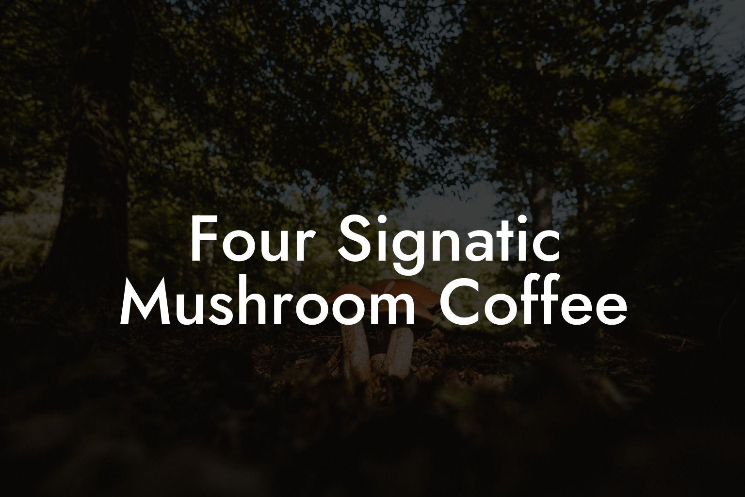 Four Signatic Mushroom Coffee