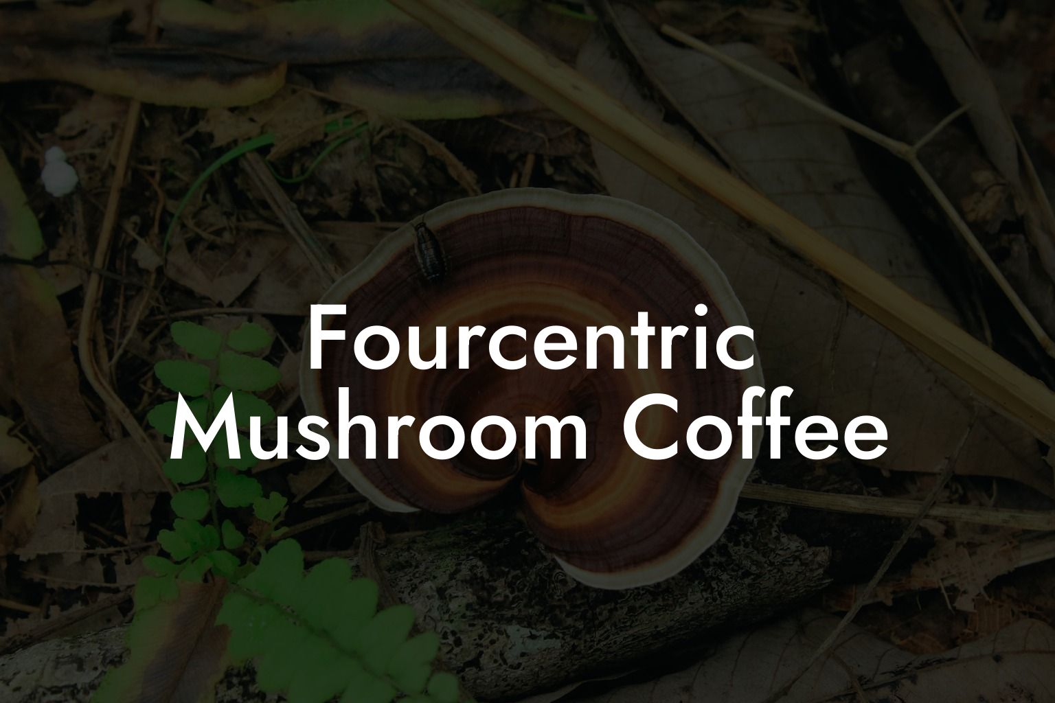 Fourcentric Mushroom Coffee