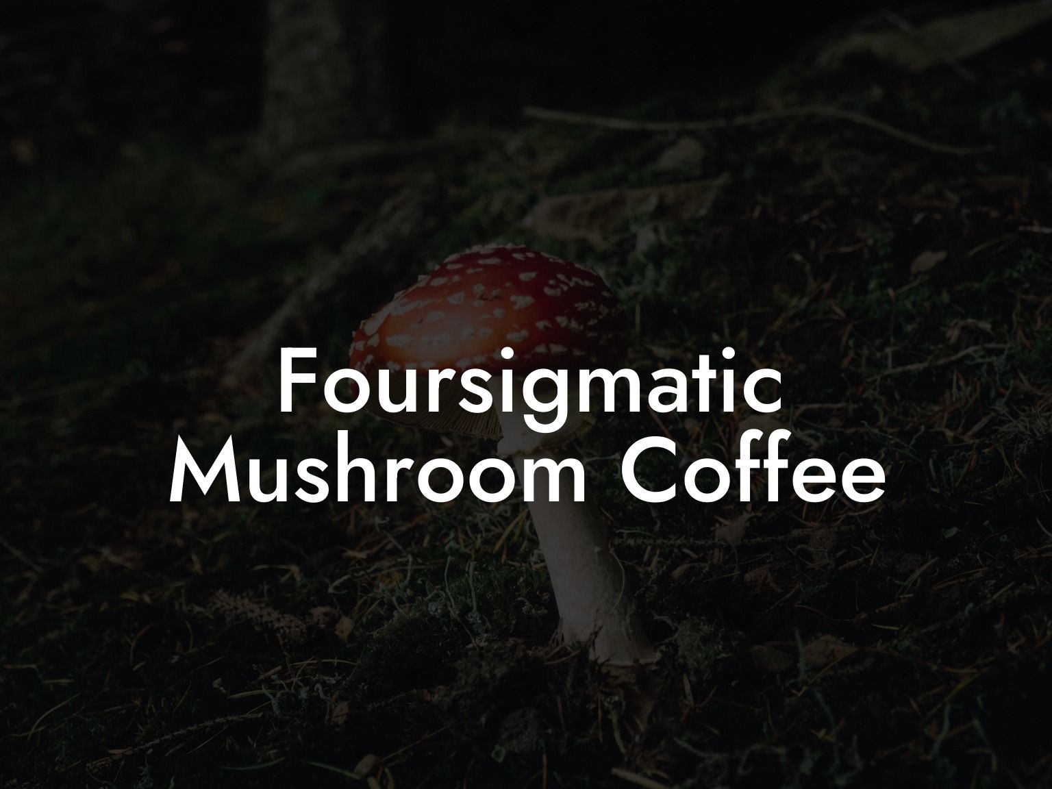 Foursigmatic Mushroom Coffee