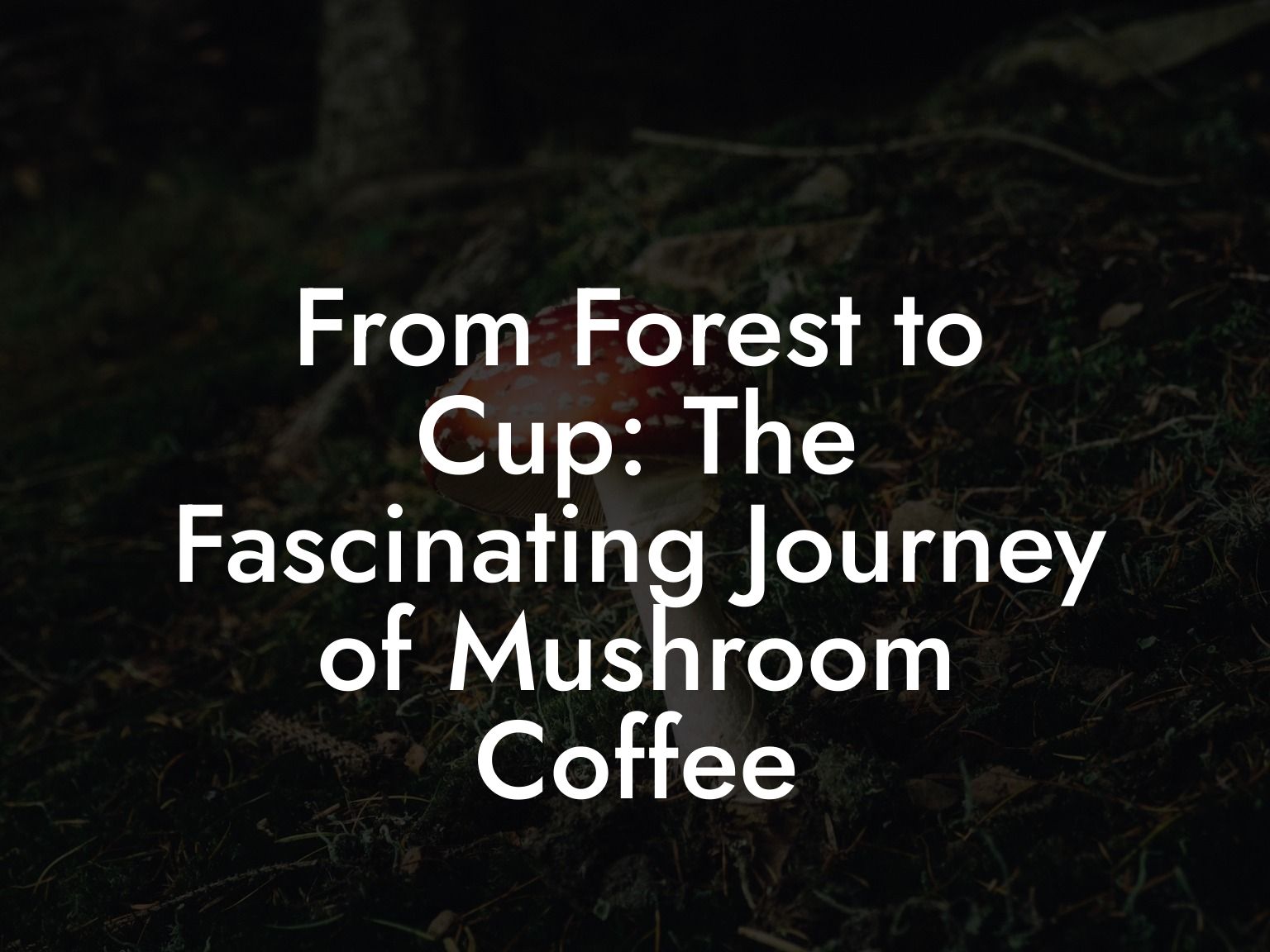 From Forest to Cup: The Fascinating Journey of Mushroom Coffee