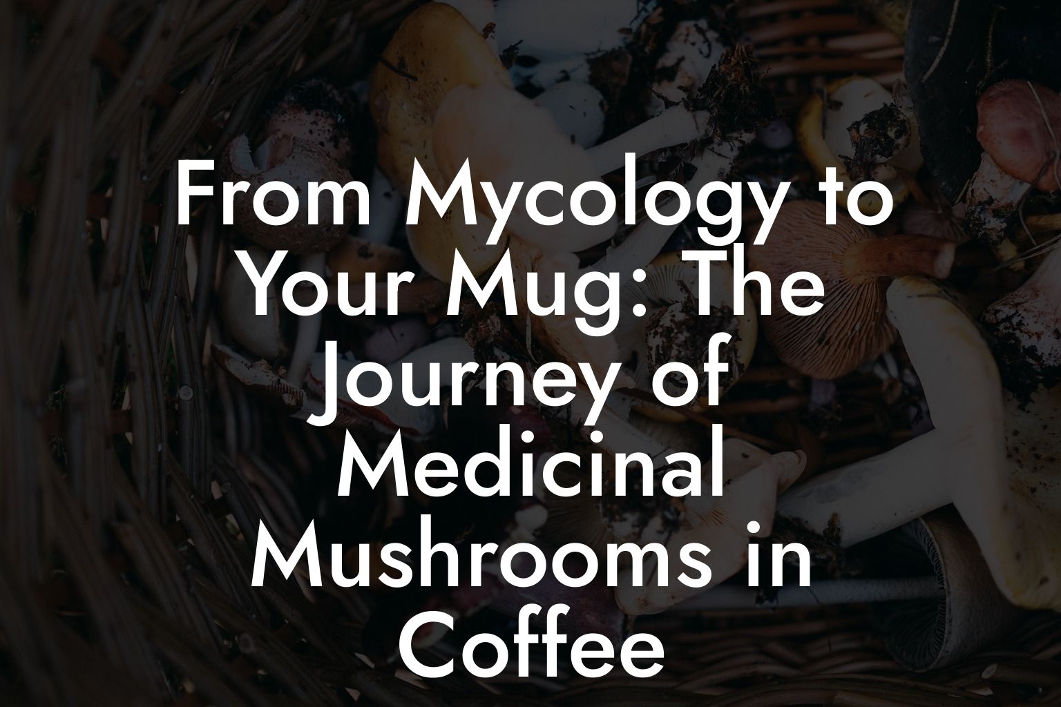 From Mycology to Your Mug: The Journey of Medicinal Mushrooms in Coffee