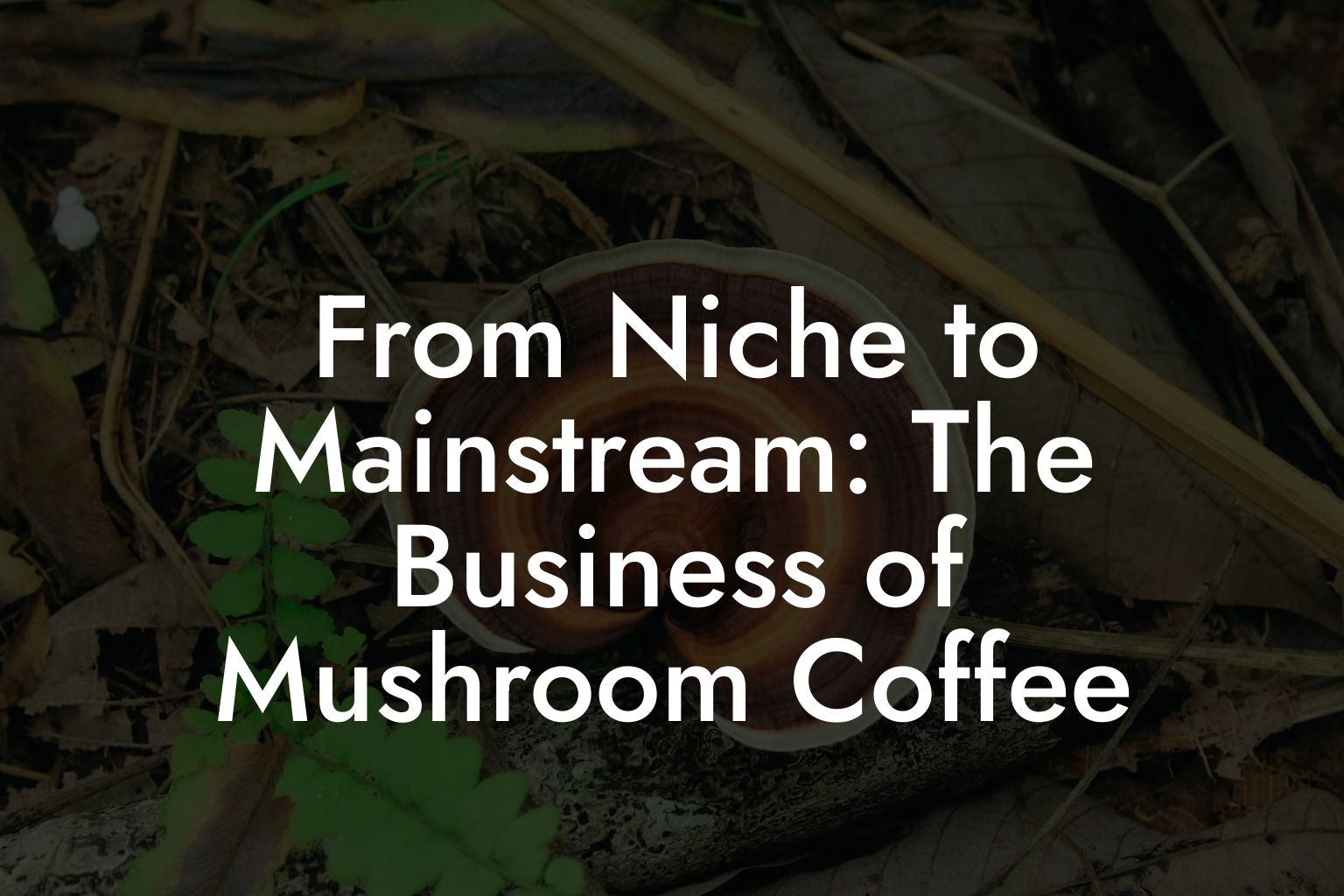 From Niche to Mainstream: The Business of Mushroom Coffee