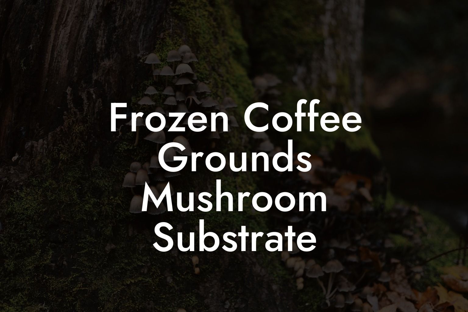 Frozen Coffee Grounds Mushroom Substrate