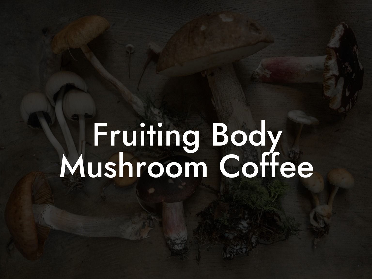 Fruiting Body Mushroom Coffee