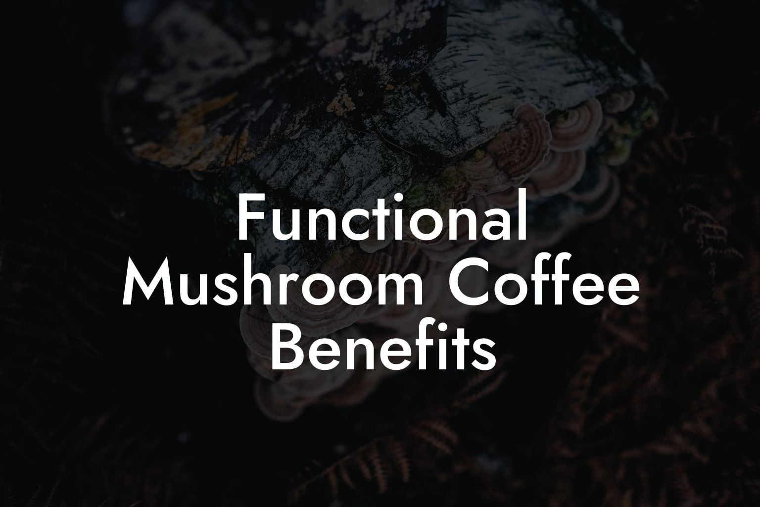 Functional Mushroom Coffee Benefits