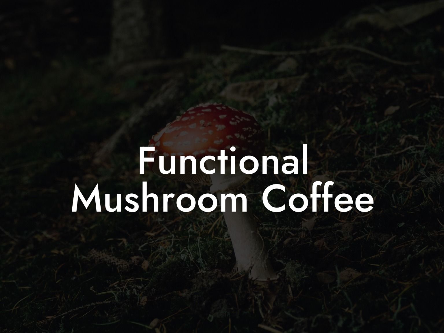 Functional Mushroom Coffee