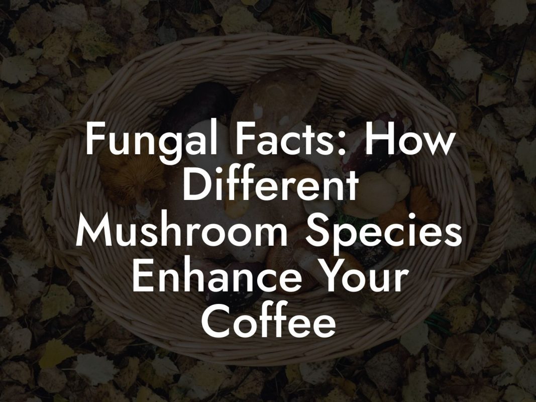 Fungal Facts: How Different Mushroom Species Enhance Your Coffee