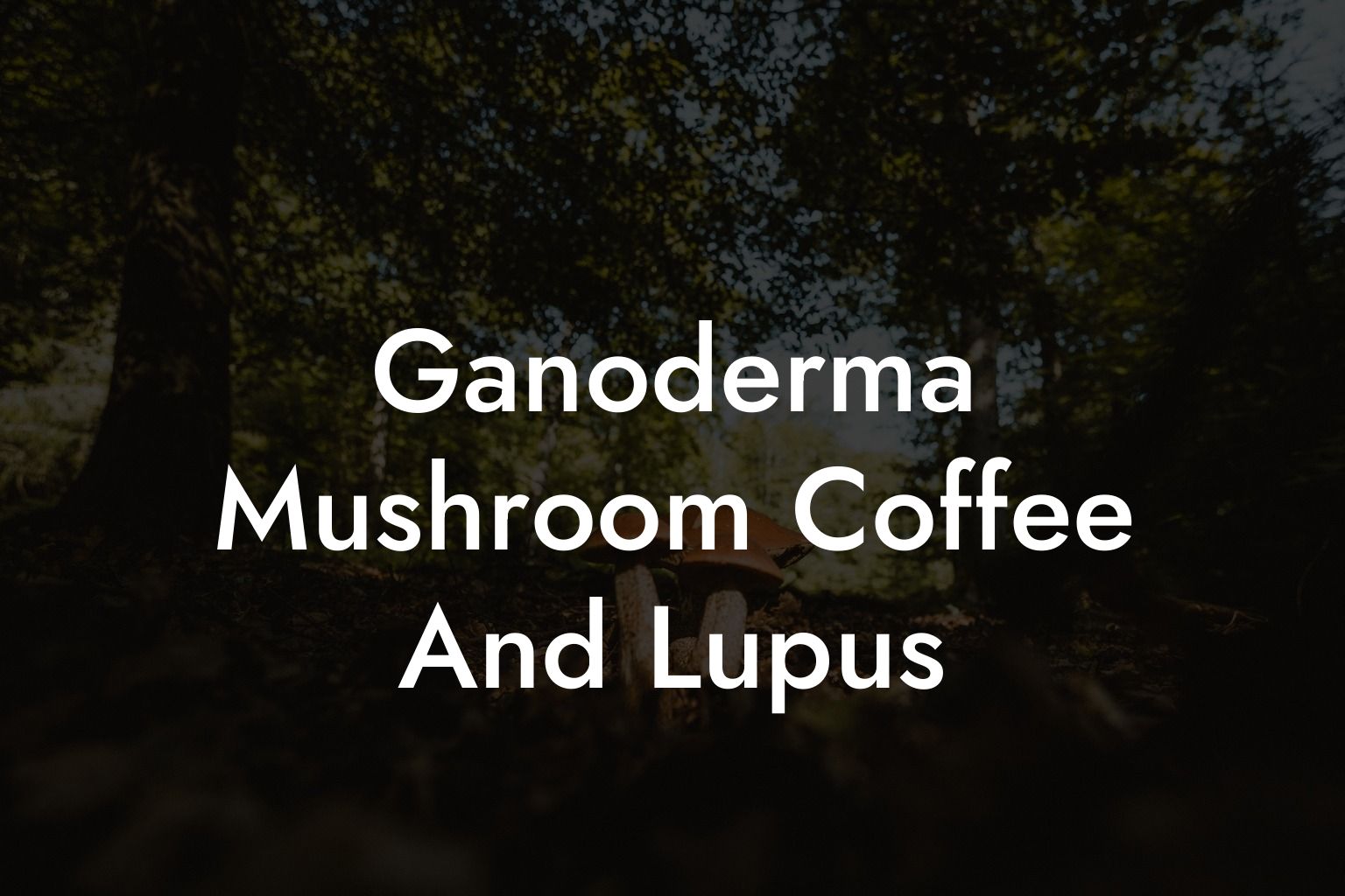 Ganoderma Mushroom Coffee And Lupus
