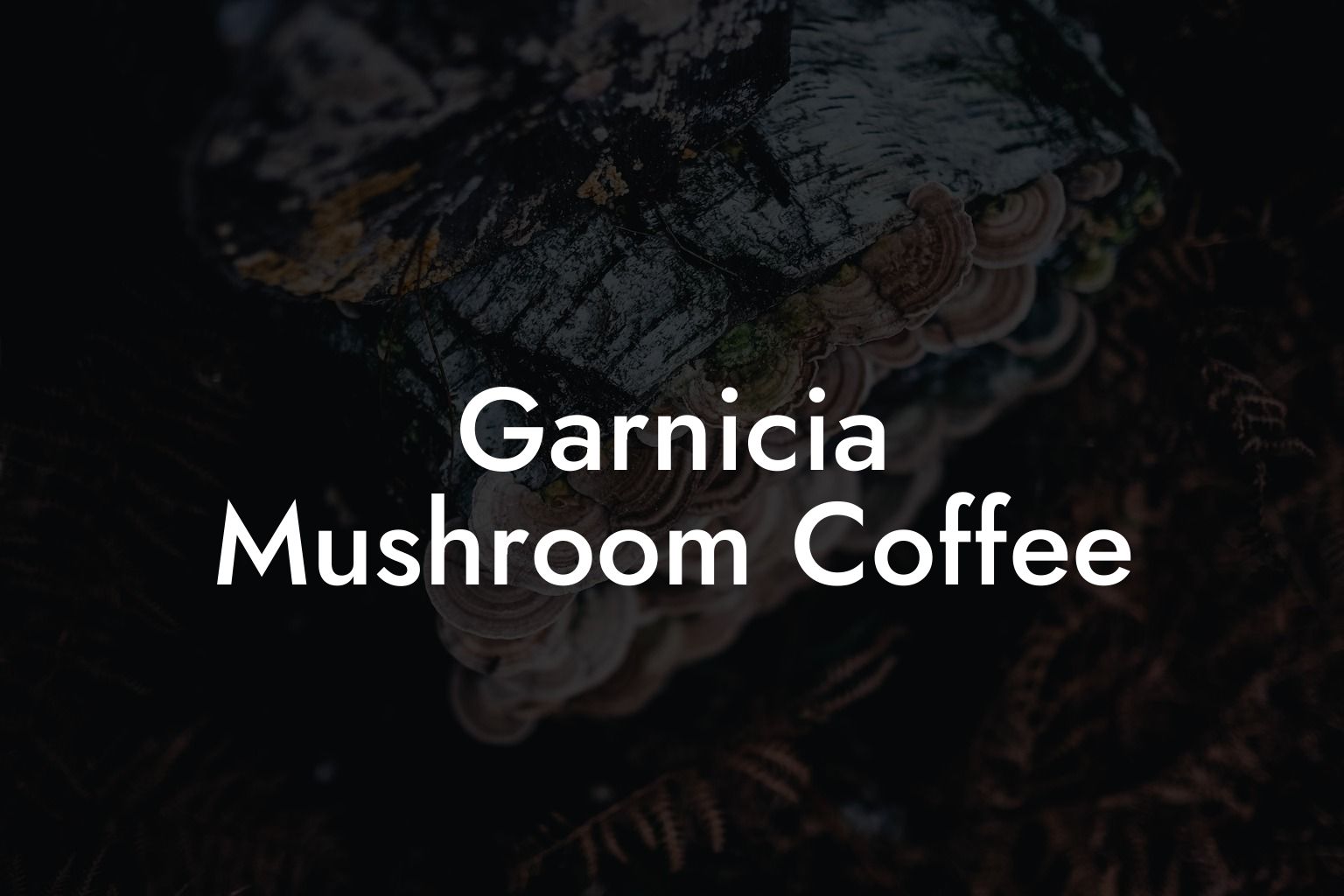 Garnicia Mushroom Coffee