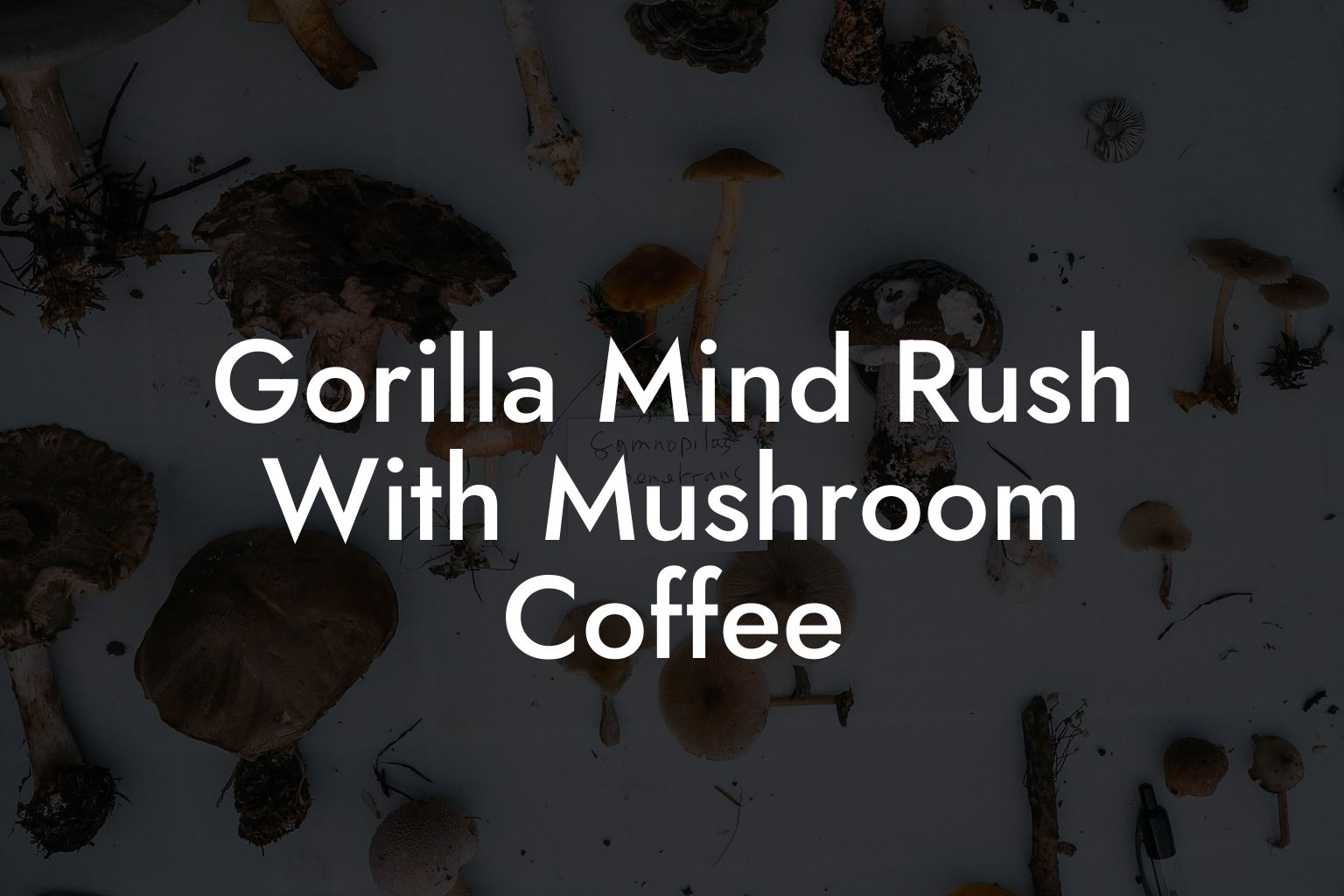 Gorilla Mind Rush With Mushroom Coffee