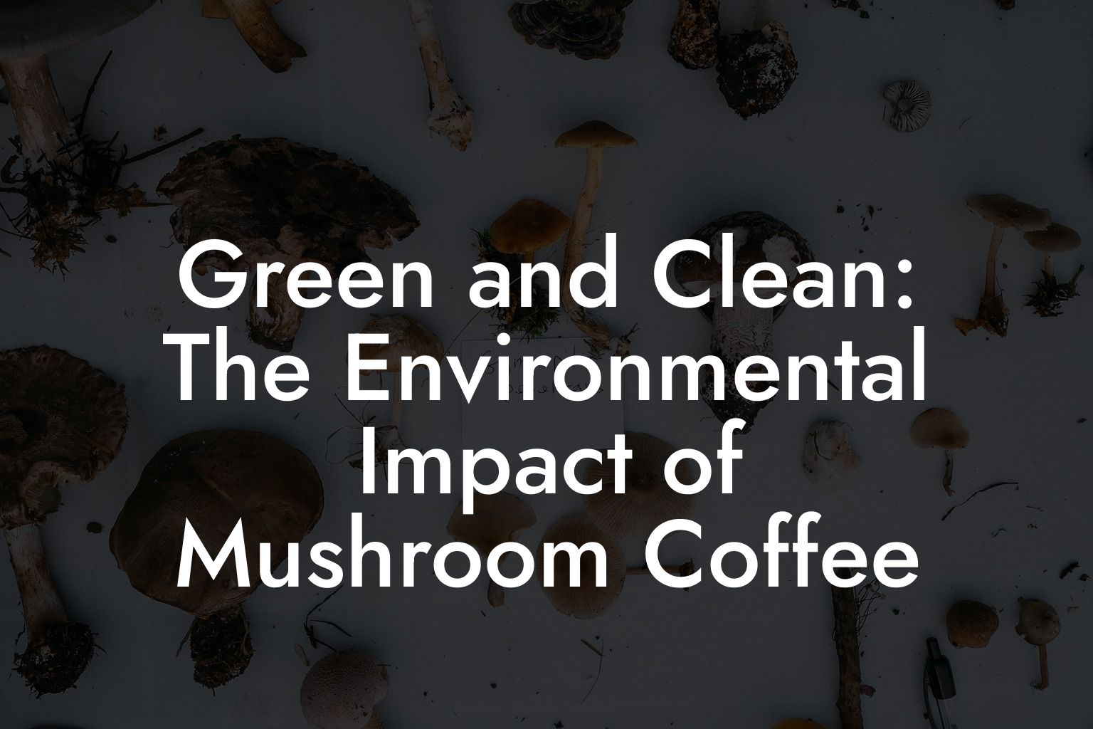 Green and Clean: The Environmental Impact of Mushroom Coffee