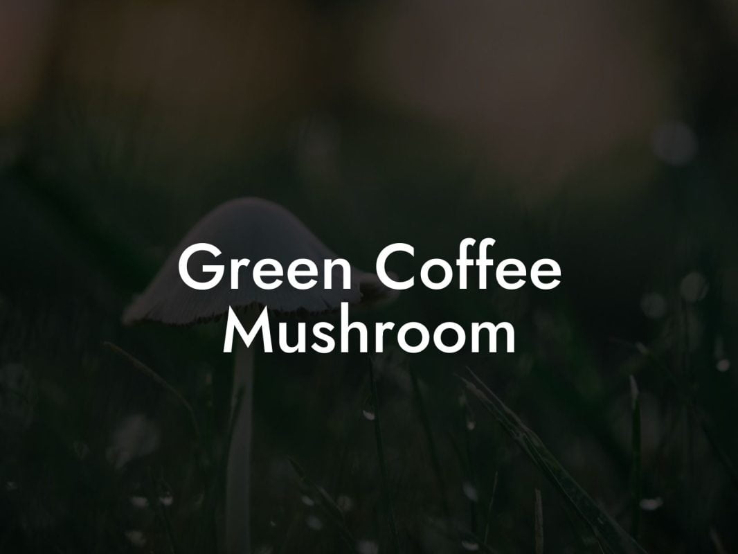 Green Coffee Mushroom