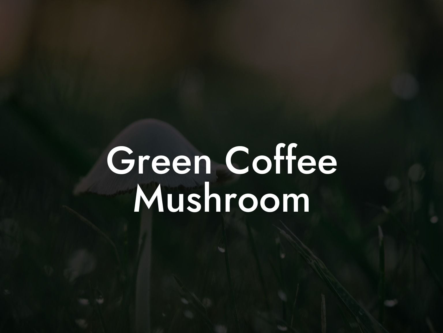 Green Coffee Mushroom