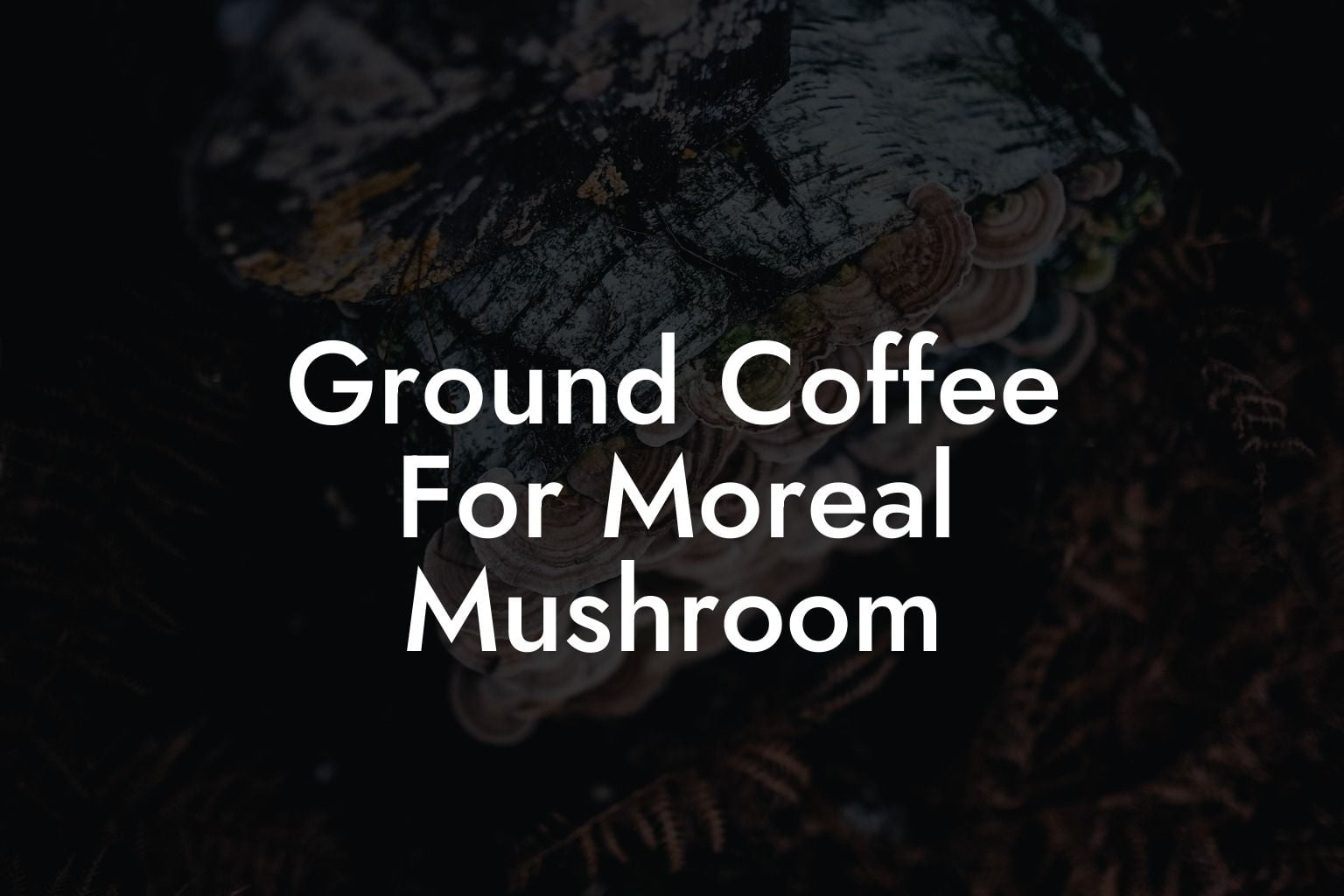 Ground Coffee For Moreal Mushroom