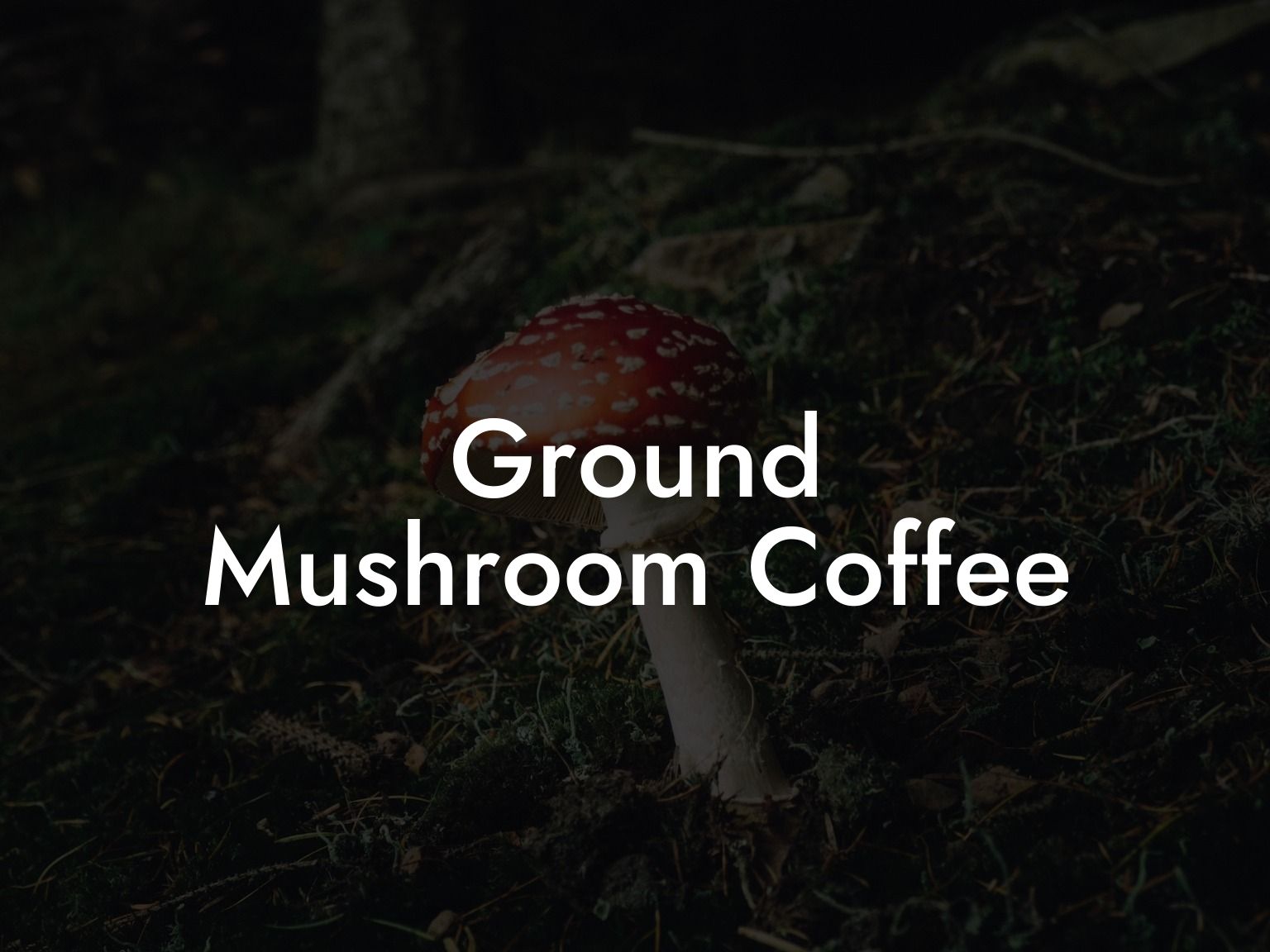 Ground Mushroom Coffee