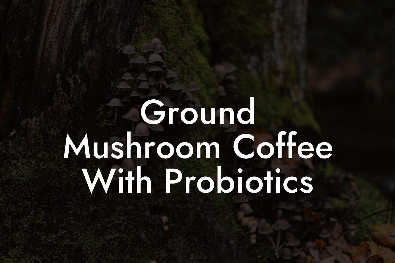 Ground Mushroom Coffee With Probiotics
