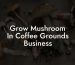 Grow Mushroom In Coffee Grounds Business