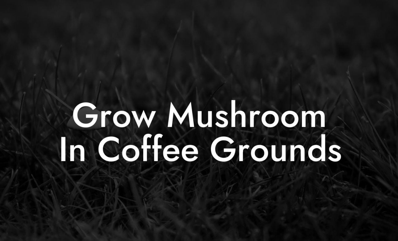 Grow Mushroom In Coffee Grounds Mr Mushroom