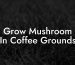 Grow Mushroom In Coffee Grounds