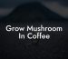 Grow Mushroom In Coffee