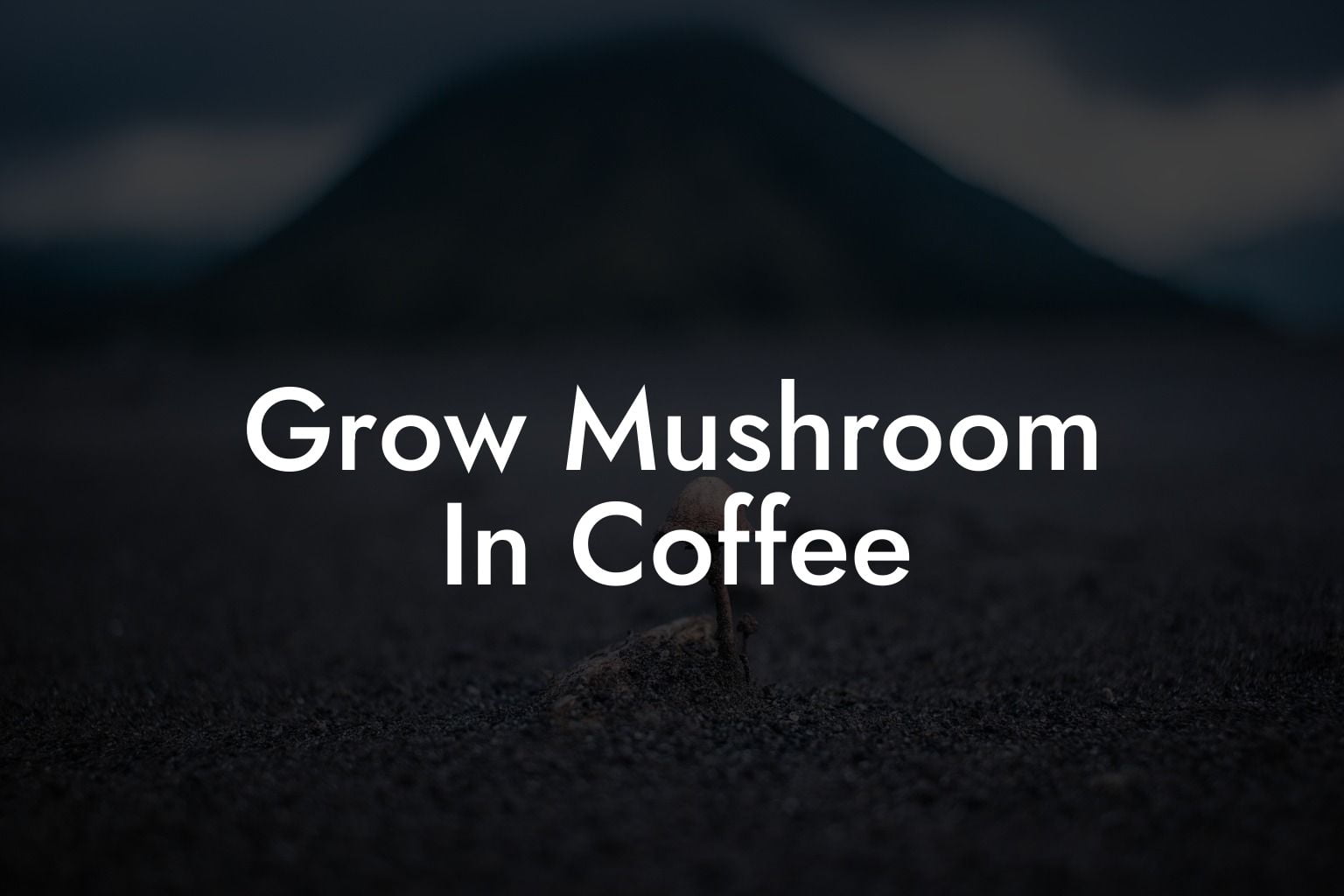 Grow Mushroom In Coffee