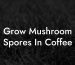 Grow Mushroom Spores In Coffee