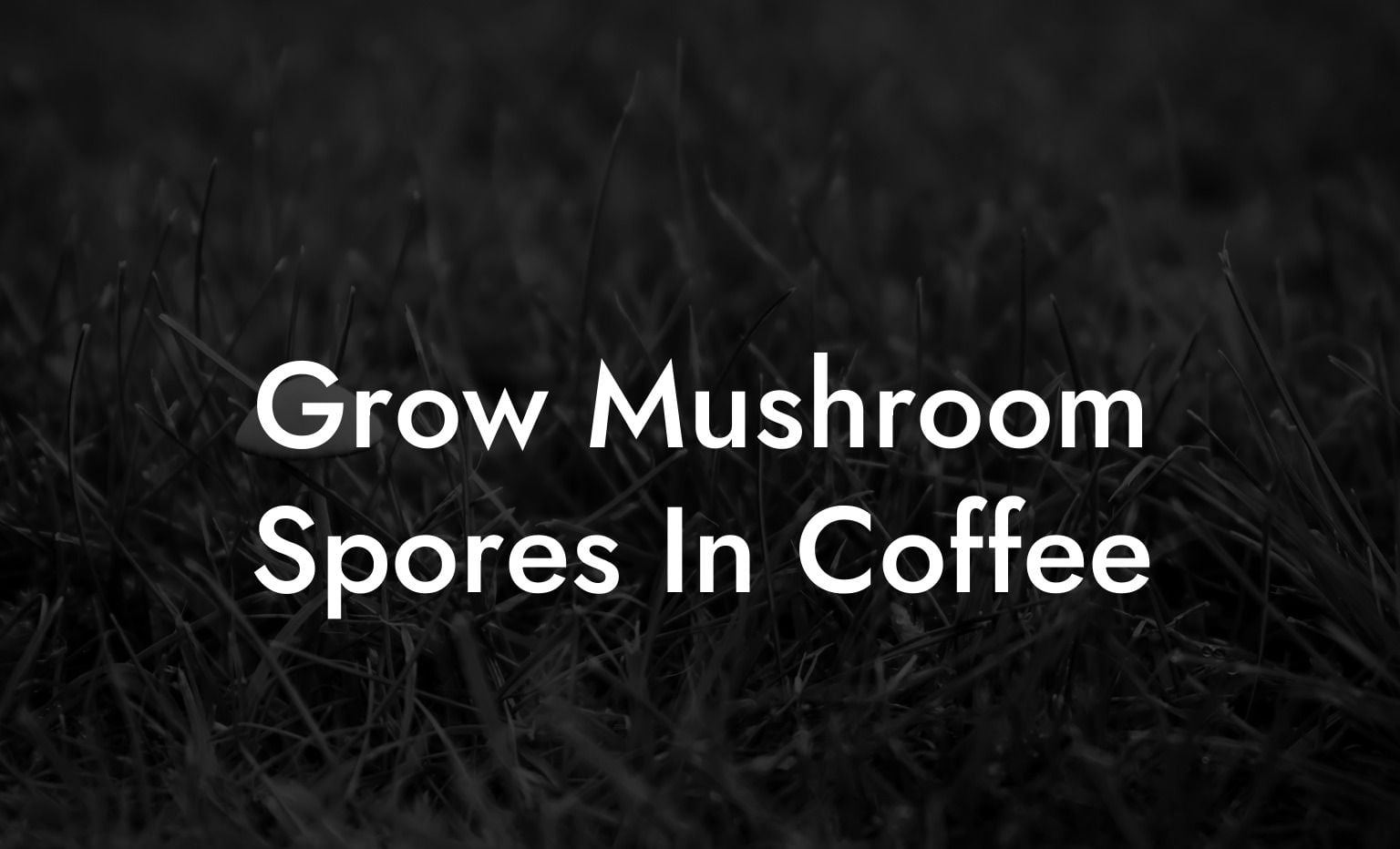 Grow Mushroom Spores In Coffee