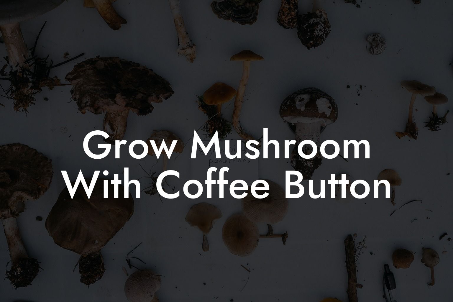 Grow Mushroom With Coffee Button